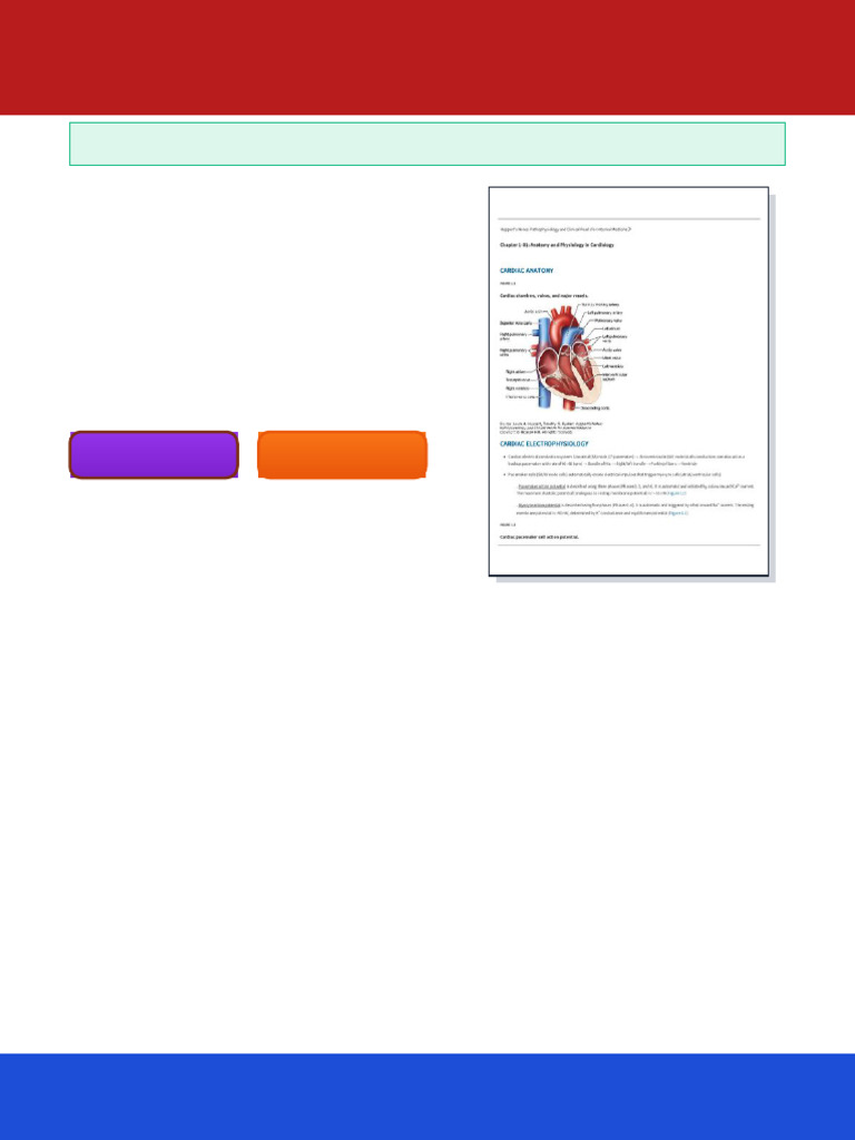 Huppert's Notes: Pathophysiology and Clinical Pearls For Internal ...