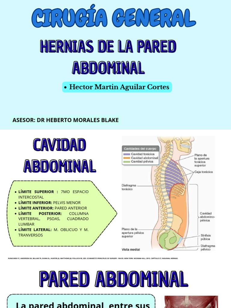 Hernias de La Pared Abdominal | PDF | Abdomen | Piel
