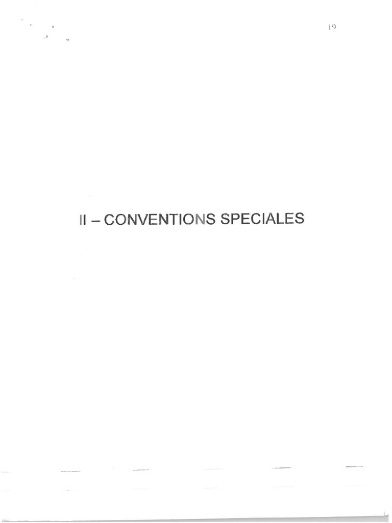 Convention | PDF