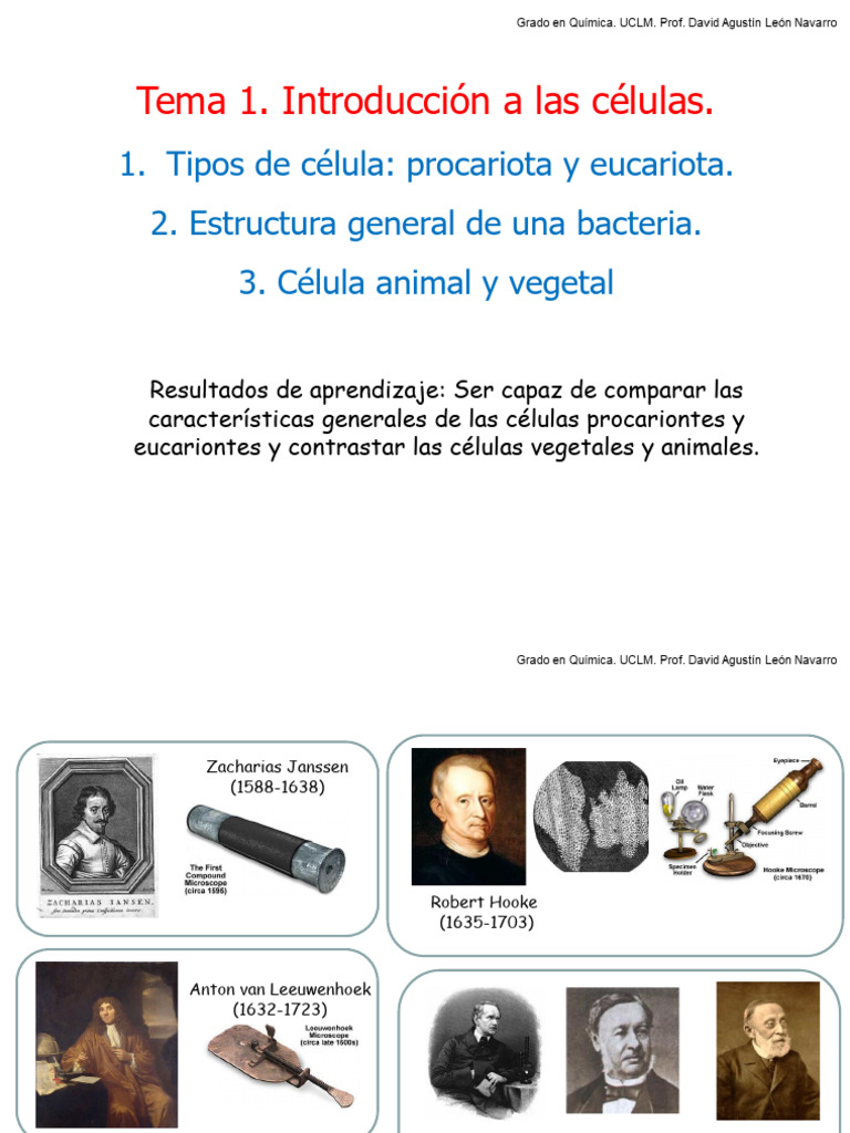 Tipos y Estructura de Células | PDF | Las bacterias | Procariota