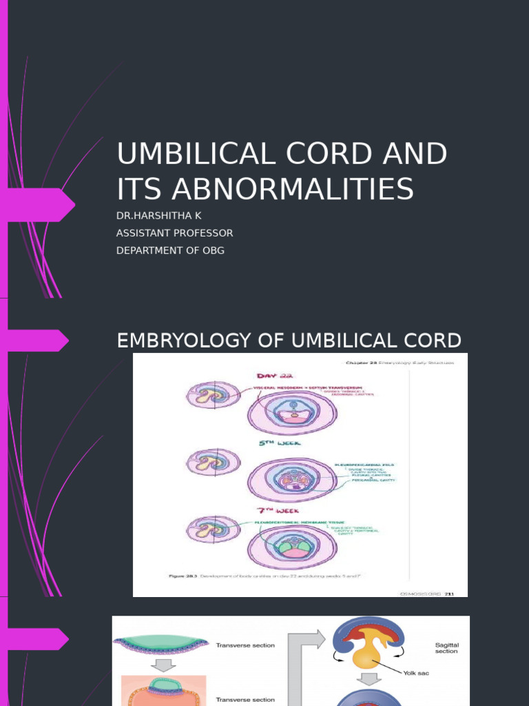 Umbilical Cord and Its Abnormalities | PDF