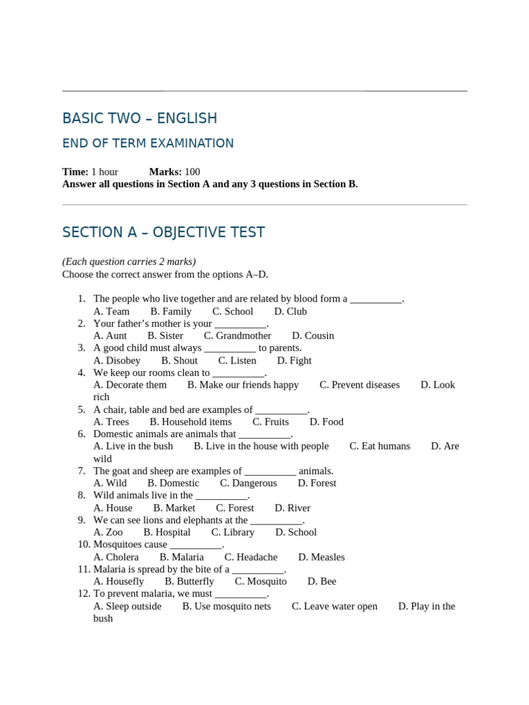 Basic English Exam for Term End | PDF
