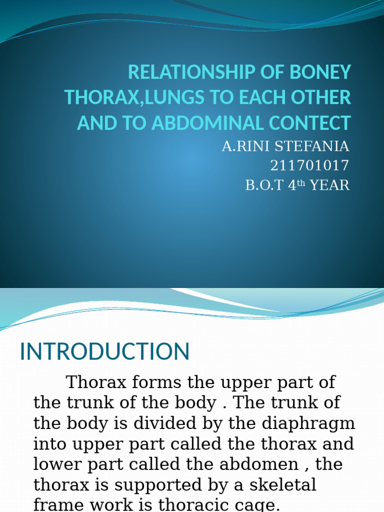 Thoracic and Abdominal Anatomy Overview | PDF | Thorax | Lung