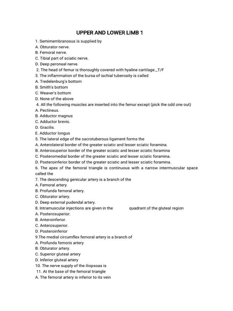 Upper and Lower Limb Anatomy Quiz | PDF | Arm | Human Leg