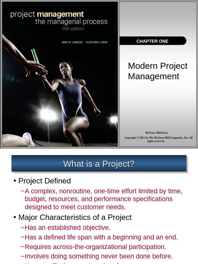 Understanding Project Management Basics | PDF | Net Present Value ...