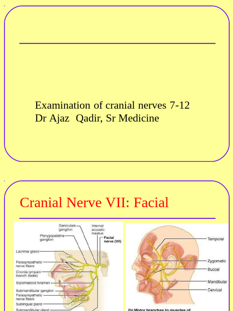 Cranial Nerve Examination Guide | PDF | Hearing Loss | Human Head And Neck