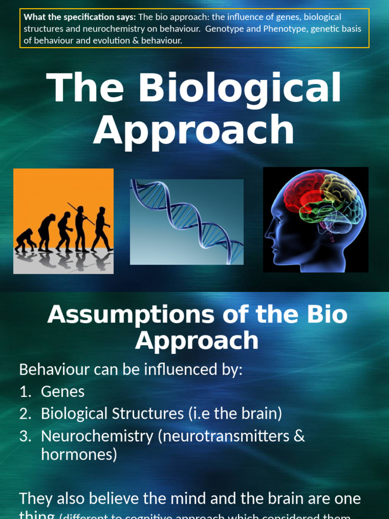Understanding the Biological Approach | PDF | Neurotransmitter | Hormone