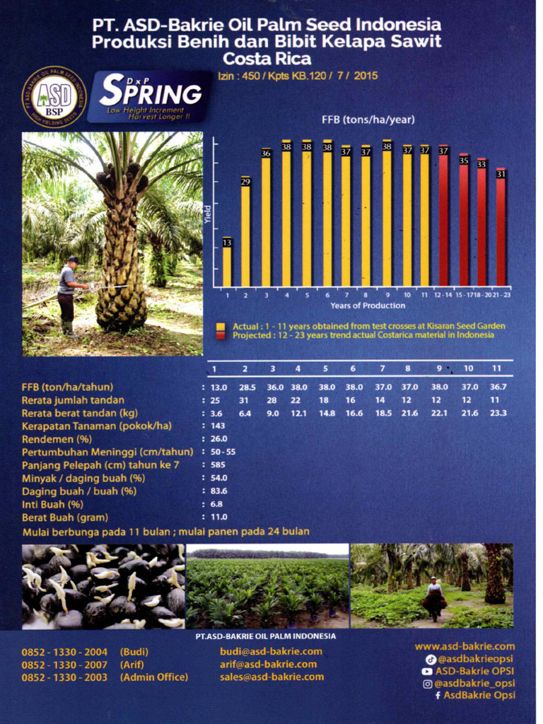 Brochure Spring | PDF