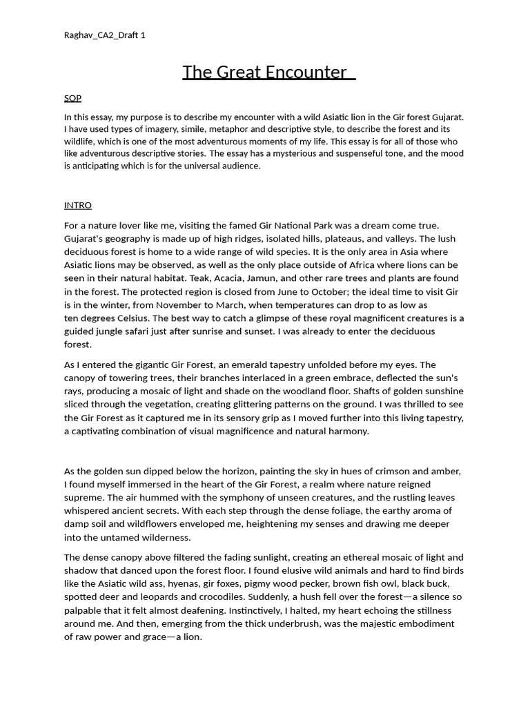 RaghavGoswami 9-B Descriptive Draft 1 | PDF