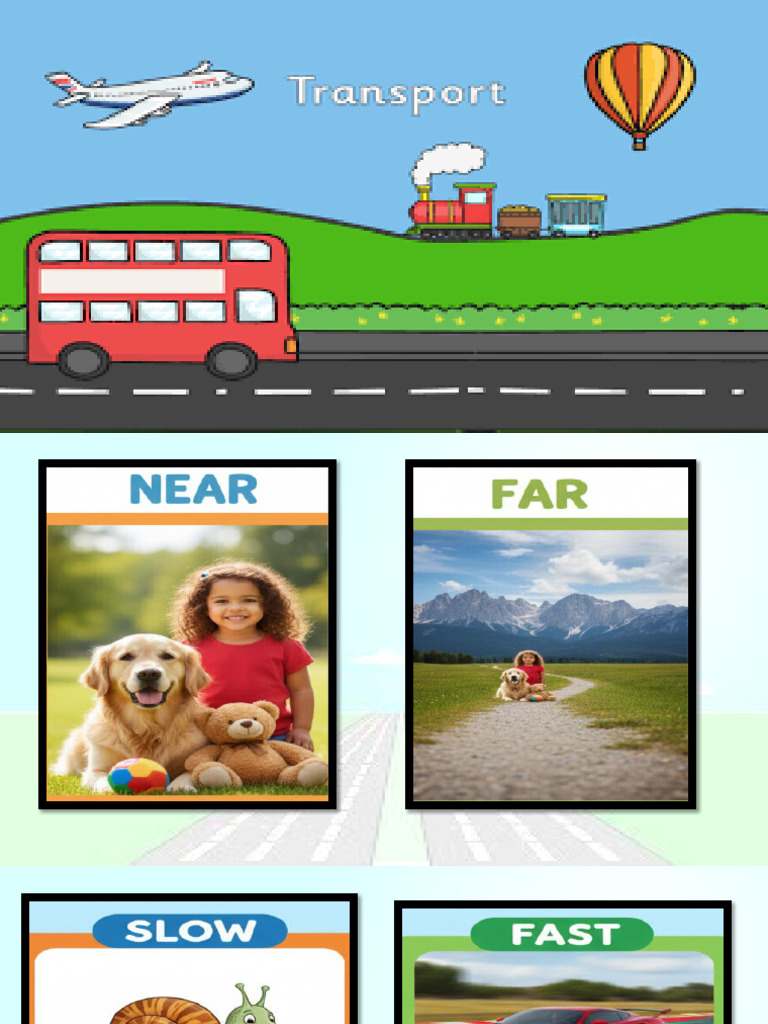 Transport Vocab Words | PDF