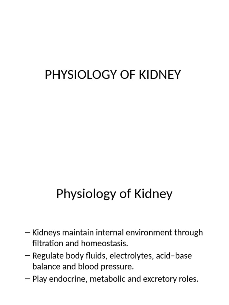 Kidney Physiology and Functions Explained | PDF | Kidney | Urinary System