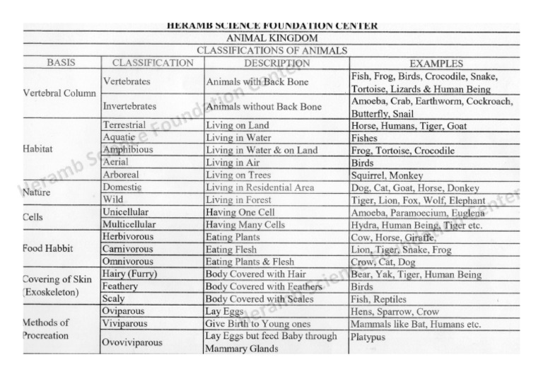 Animal Kingdom - Classification of Animals | PDF