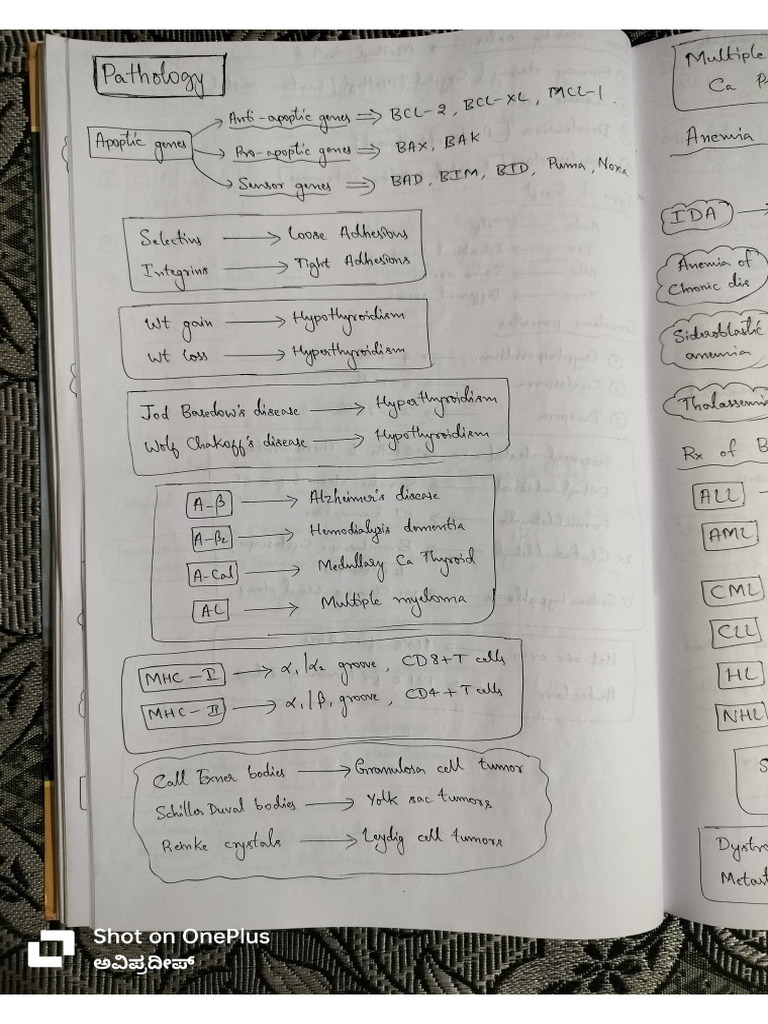 Pathology 20th Notebook | PDF