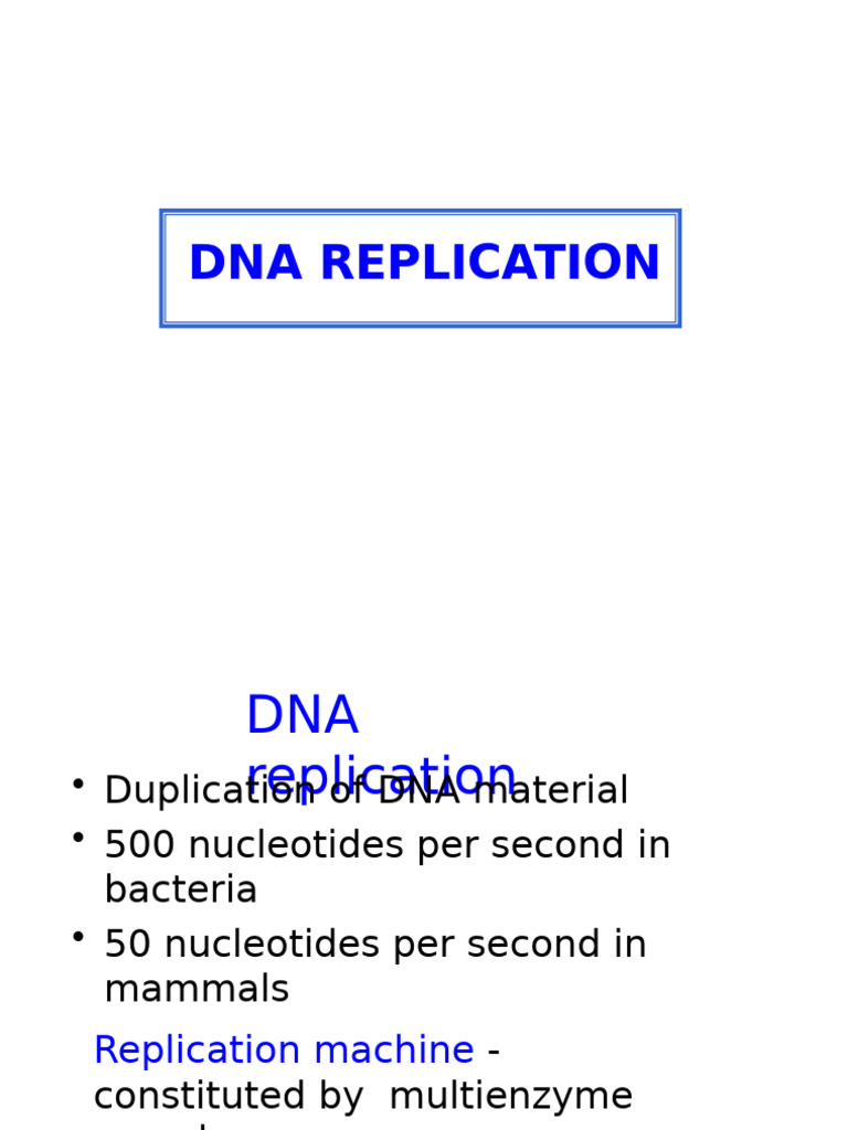 DNA Replication Process Explained | PDF | Dna Replication | Dna