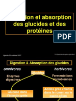 14-Digestion Absorption Glucides Proteines