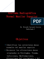 Anatomía Radiográfica Normal Maxilar Superior