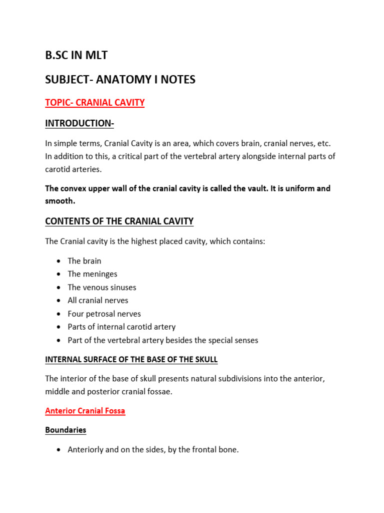 Anatomy I Notes - Cranial Cavity | PDF | Skull | Skeletal System