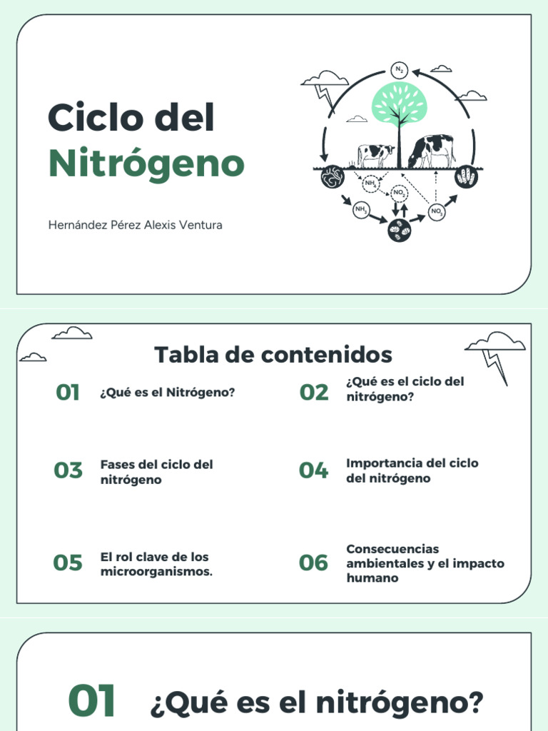 Ciclo Del Nitrogeno | PDF | Nitrógeno | Ciencias de la Tierra