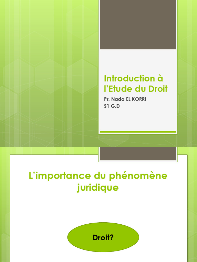 Introduction au Droit et à ses Fondements | PDF | Loi | Constitution