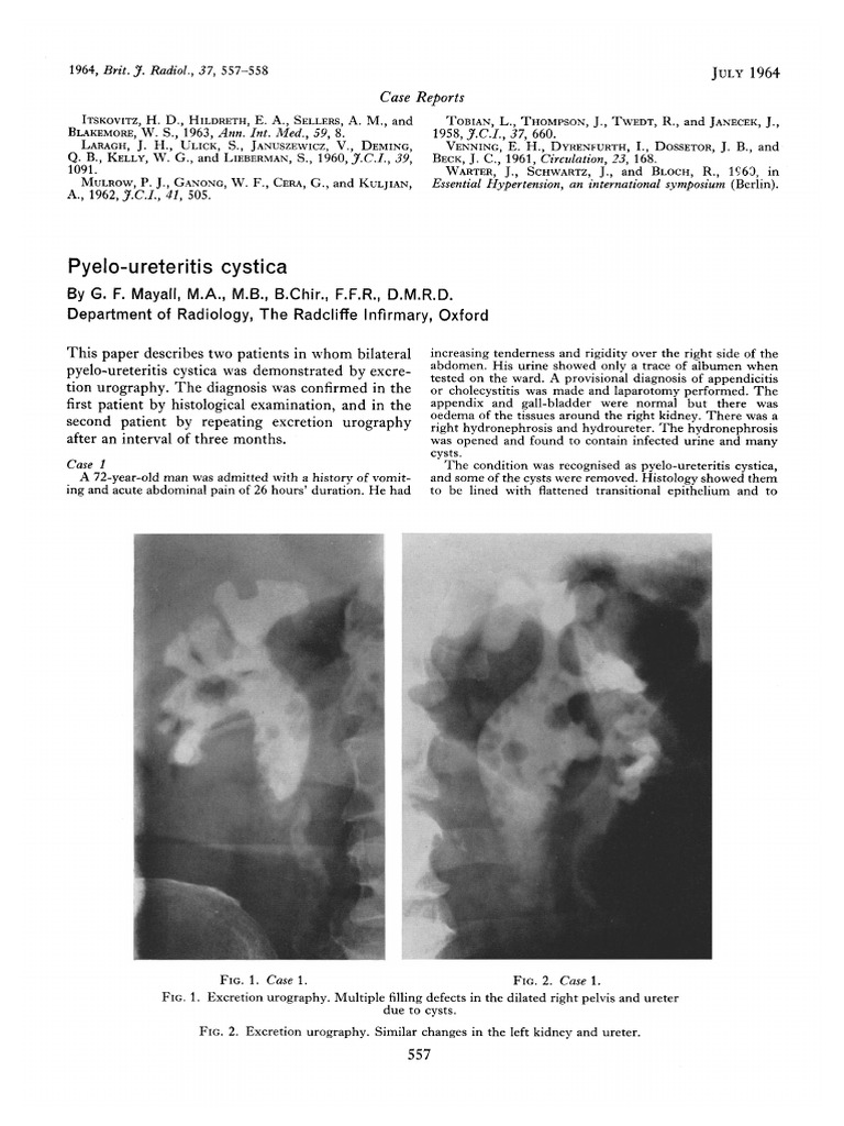 Pyelo-Ureteritis Cystica | PDF | Medical Specialties | Clinical Medicine
