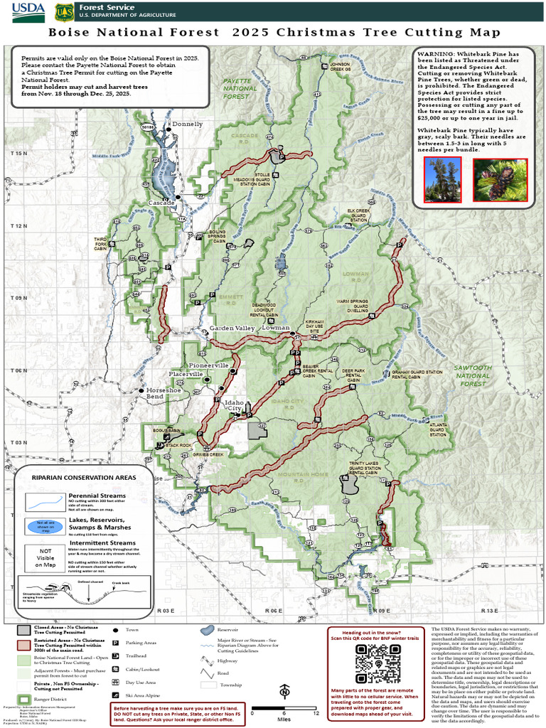 Boise National Forest Christmas Tree Map | PDF | Trees