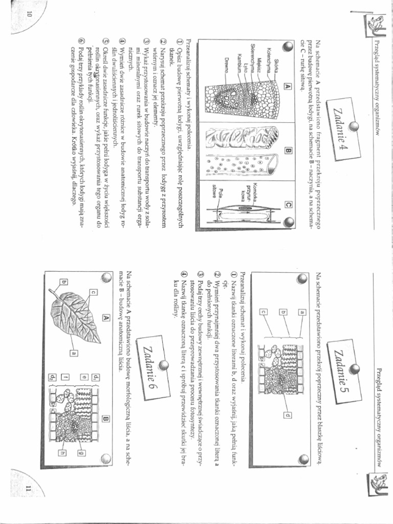 Scanned Document 14 | PDF
