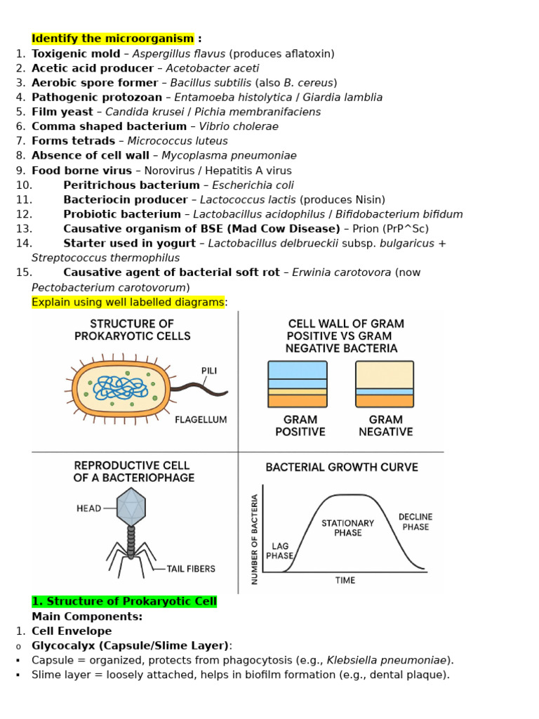 Microorganisms and Fermentation Processes | PDF | Fermentation | Food ...