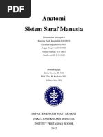 Download Anatomi Sitem Saraf Manusia by Angga Rizqiawan SN95933456 doc pdf