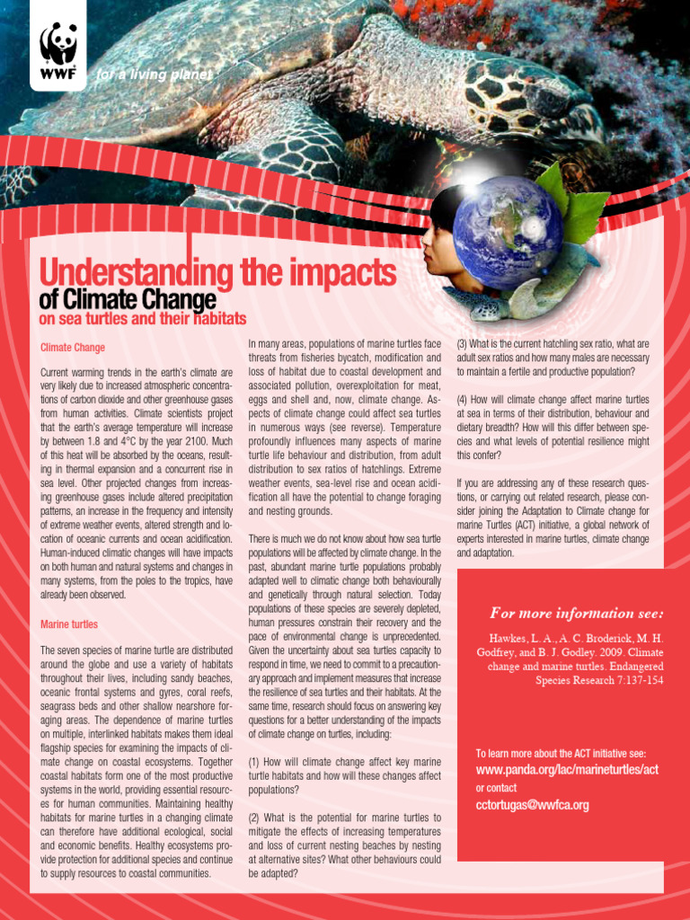 Impact of Climate Change on Marine Turtles | PDF | Climate Change | Sea ...