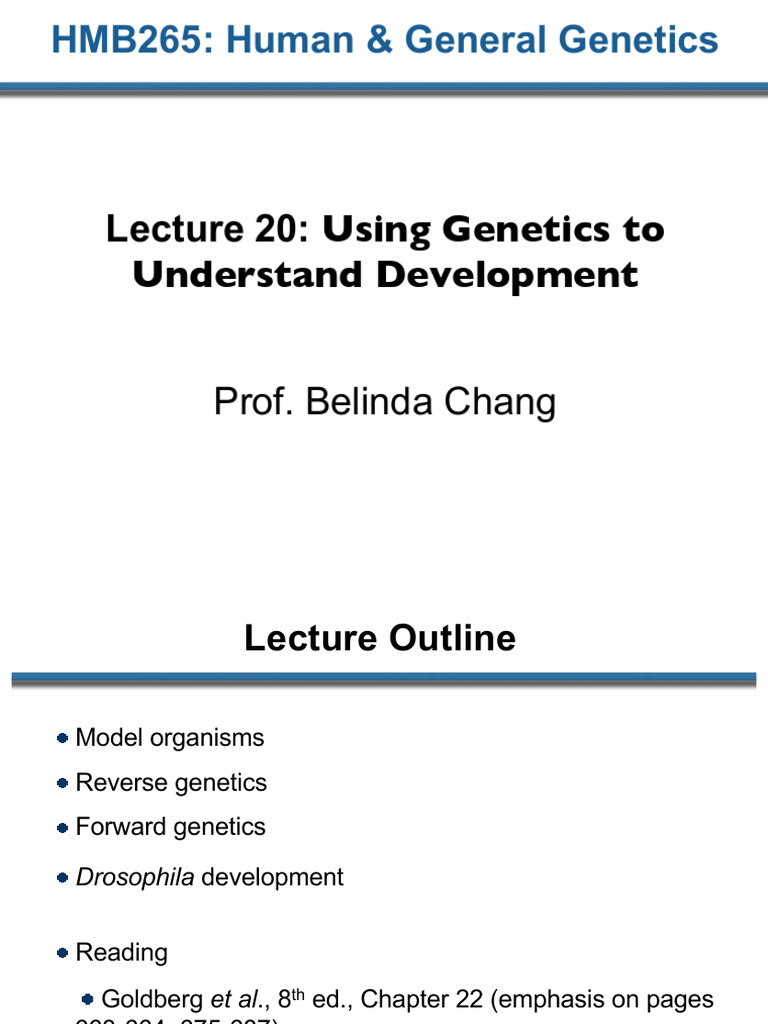 Lecture+20+Development Compressed | PDF | Genetics | Gene