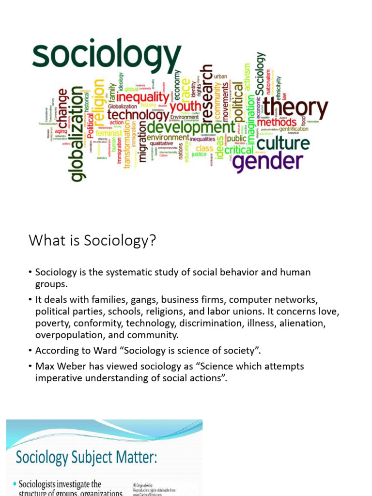 Introduction PDF Society Information