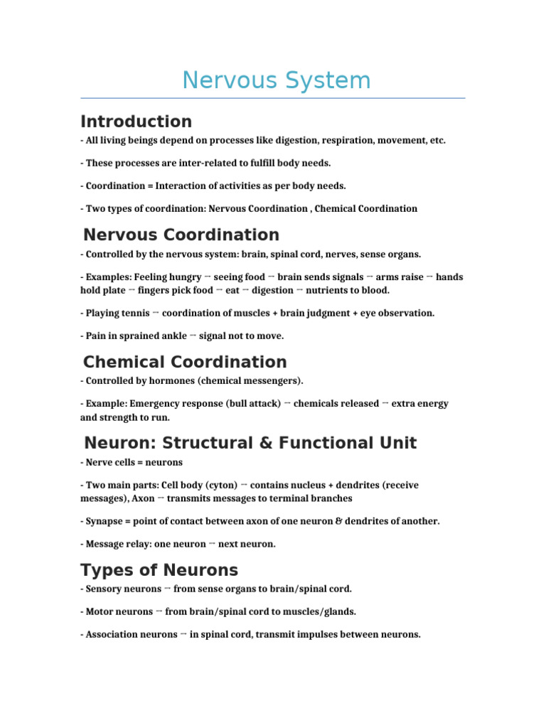 Understanding the Nervous System | PDF | Central Nervous System ...