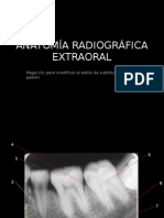 Anatomía Radiográfica Extraoral