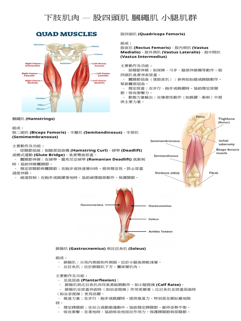 Levana - Lower Limb Training 1 PDF | PDF