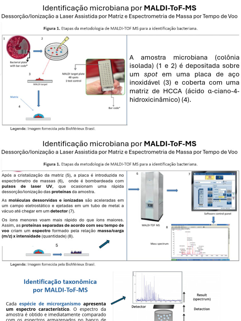 Identificação Microbiana com MALDI-ToF-MS | PDF | Espectrometria de ...