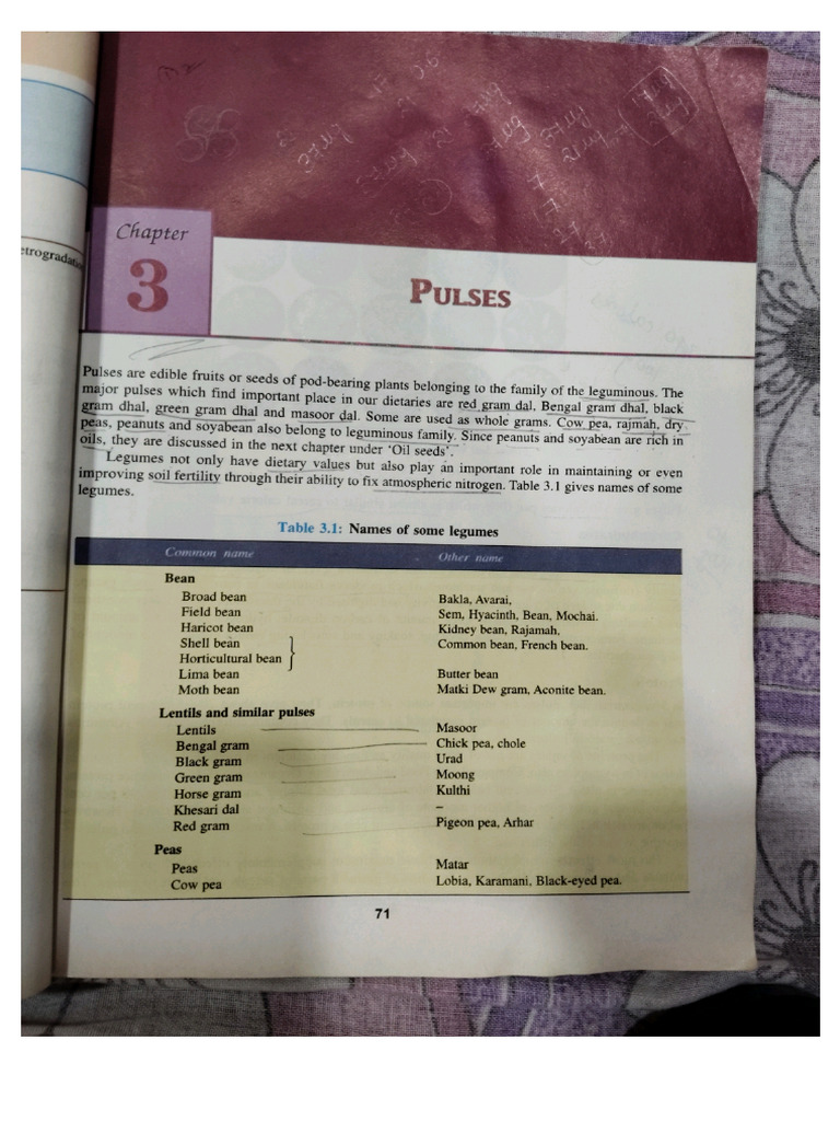 Pulses and Legumes | PDF