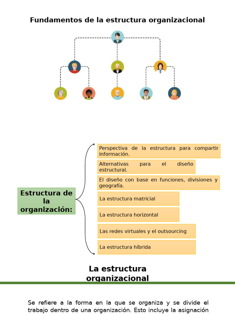 Fundamentos de la Estructura Organizacional | PDF | Marketing | Business