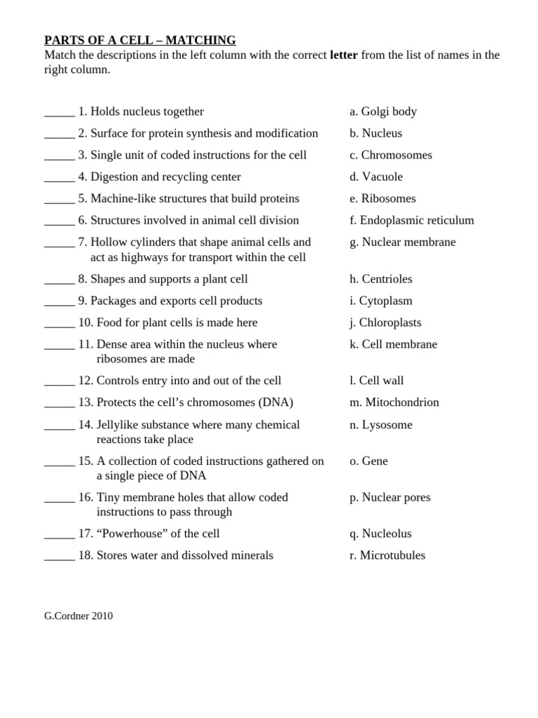 Cell Theory and Anatomy Homework | PDF