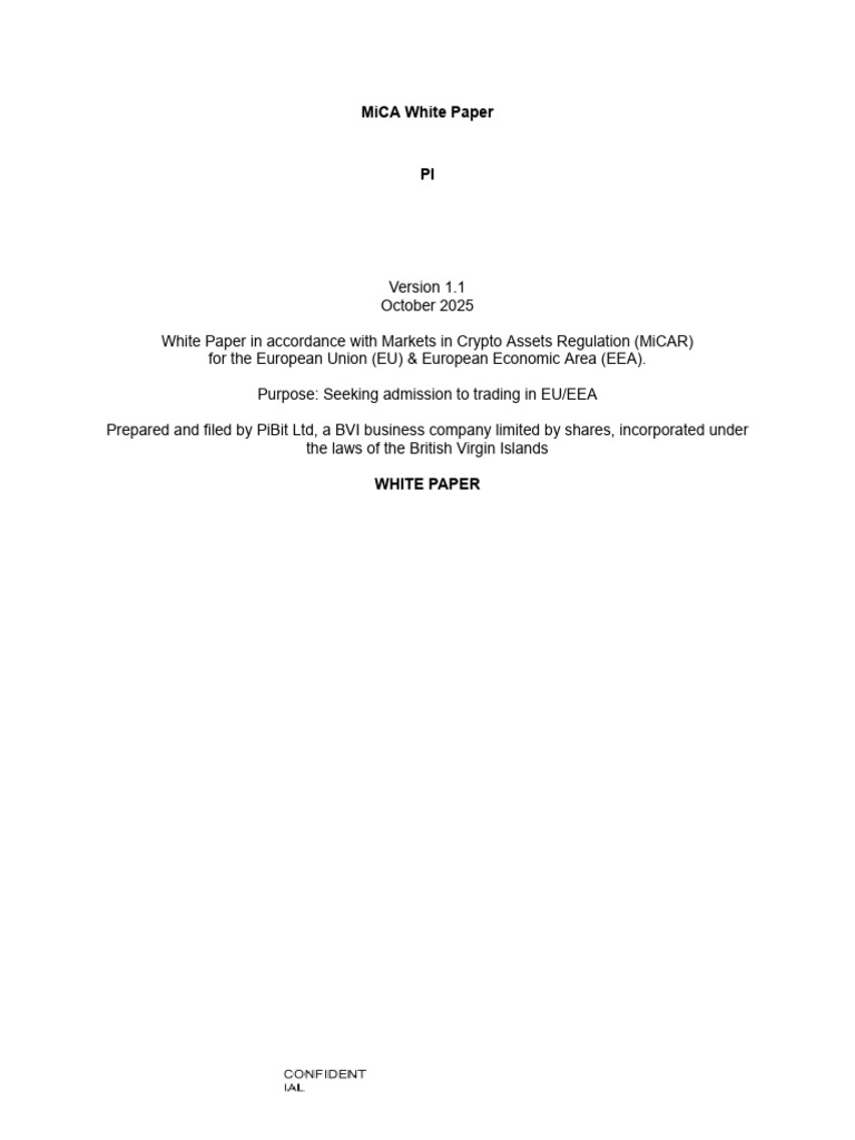 MiCA Whitepaper Pi 1 | PDF | Computer Security | Security