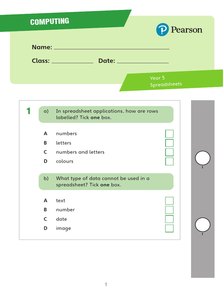 Year 5 Spreadsheet Computing Guide | PDF | Spreadsheet | Eye Color