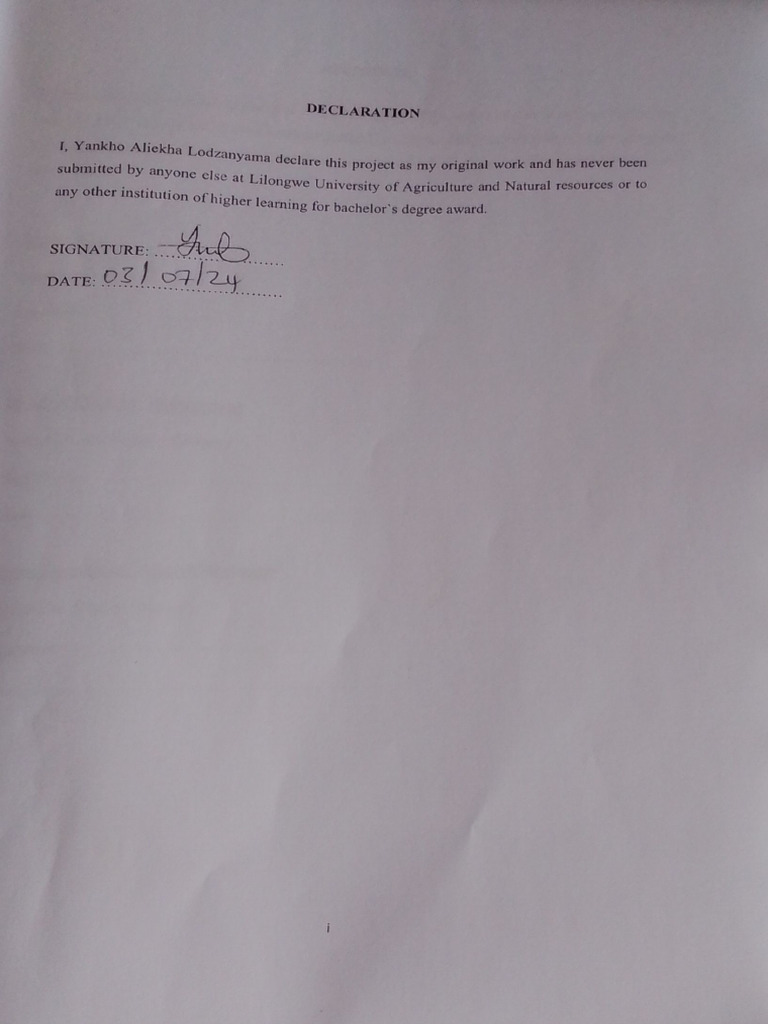 Sample Report Forestry Department Recommended | PDF