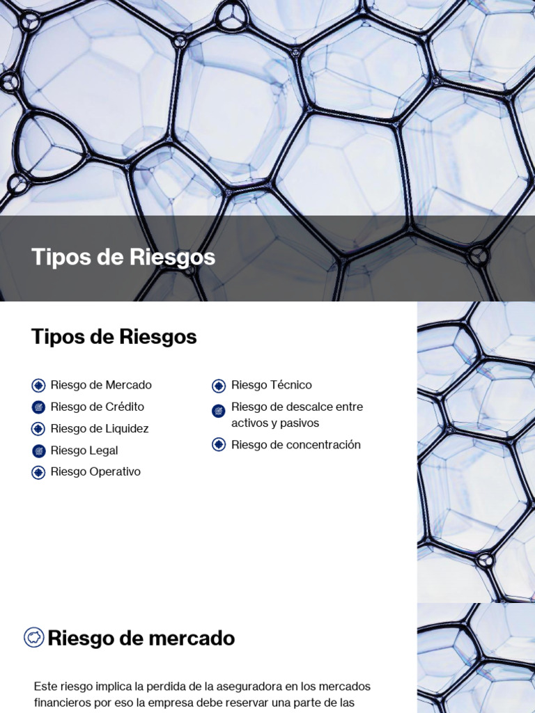 Clasificación de Tipos de Riesgos Financieros | PDF | Seguro | Riesgo ...