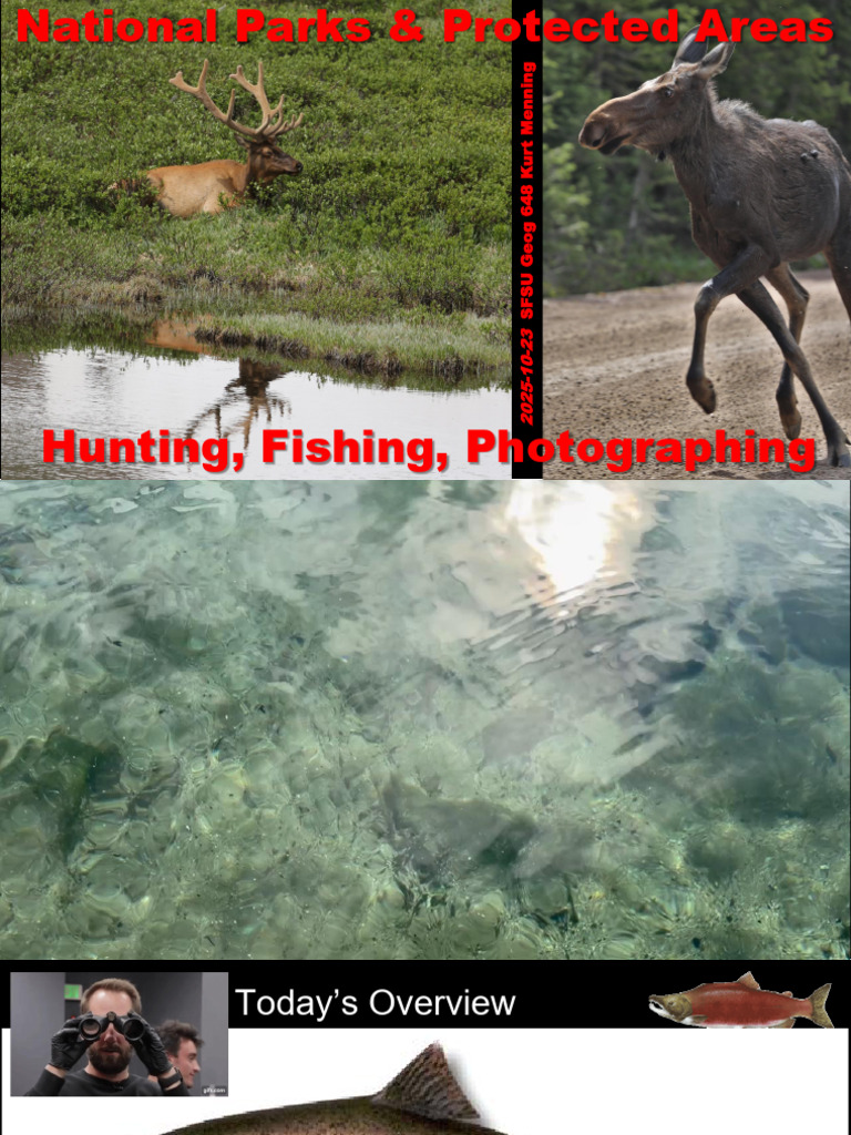 2025-10-23 Recreation Fishing Hunting Photographing - SV | PDF ...