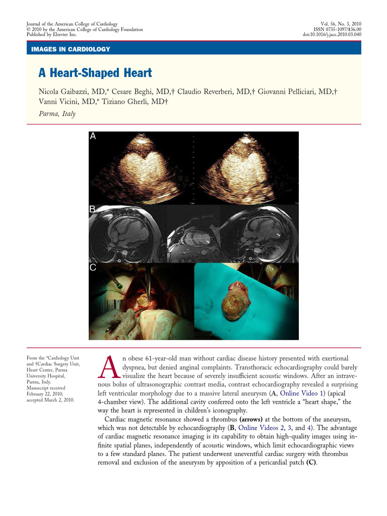 A Heart Shaped Heart | PDF