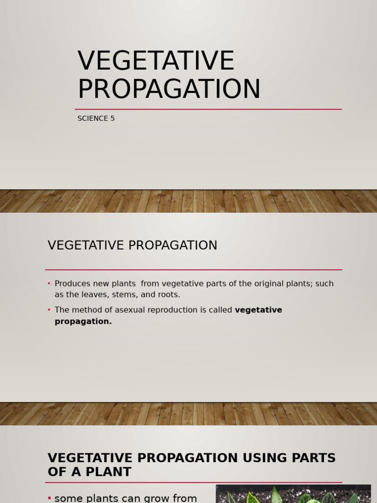 Guide to Vegetative Plant Propagation | PDF | Grafting | Branches Of Botany