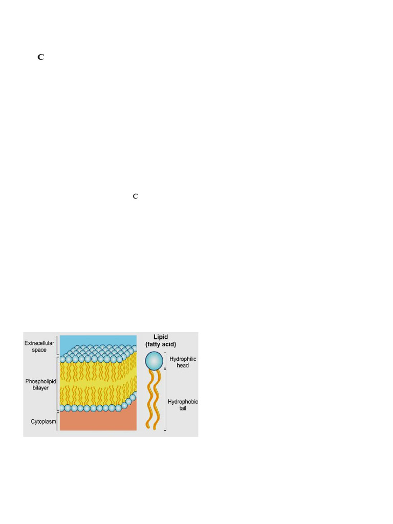 Understanding Cell Structure and Function | PDF | Endoplasmic Reticulum ...