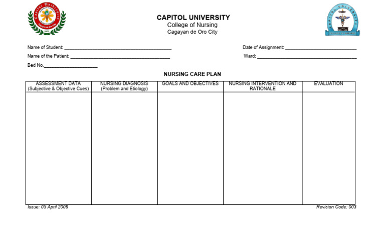 Nursing Care Plan Template | PDF