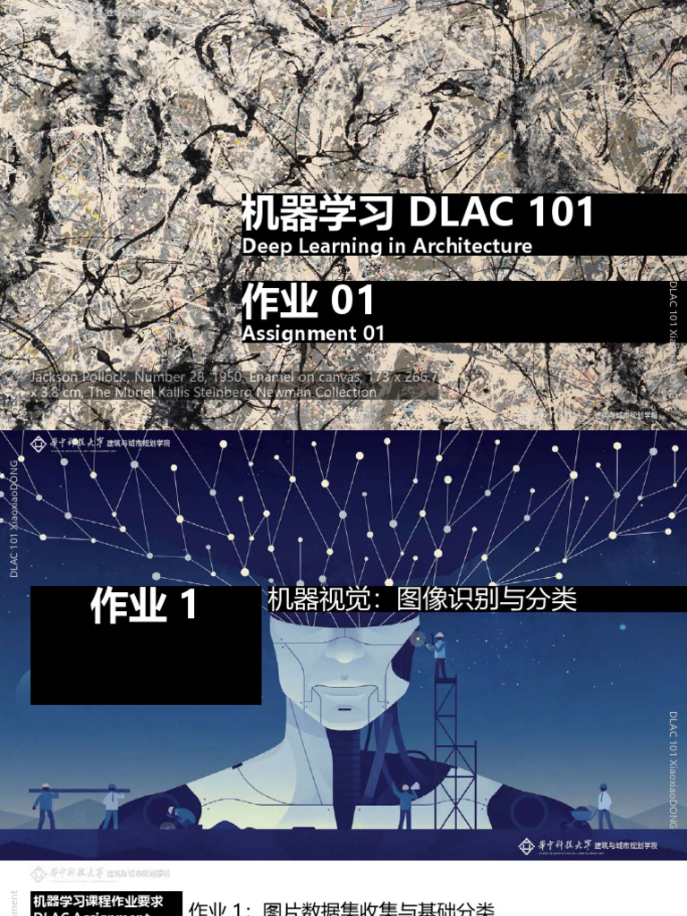 DLAC 101 Assignment 1 CV Classification | PDF