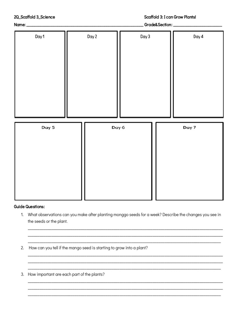 2Q Science Scaffold 3_ Observation Sheet_2ea9757a-Fc9b-4dda-91e3 ...