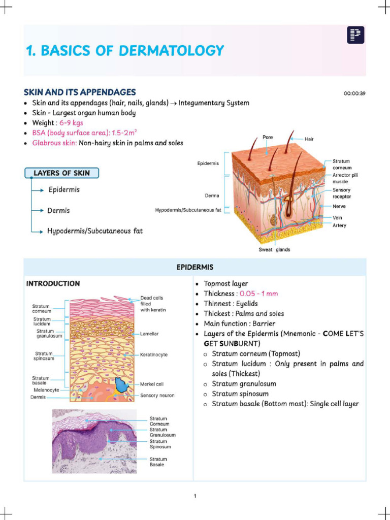 Dermatology Version X | PDF